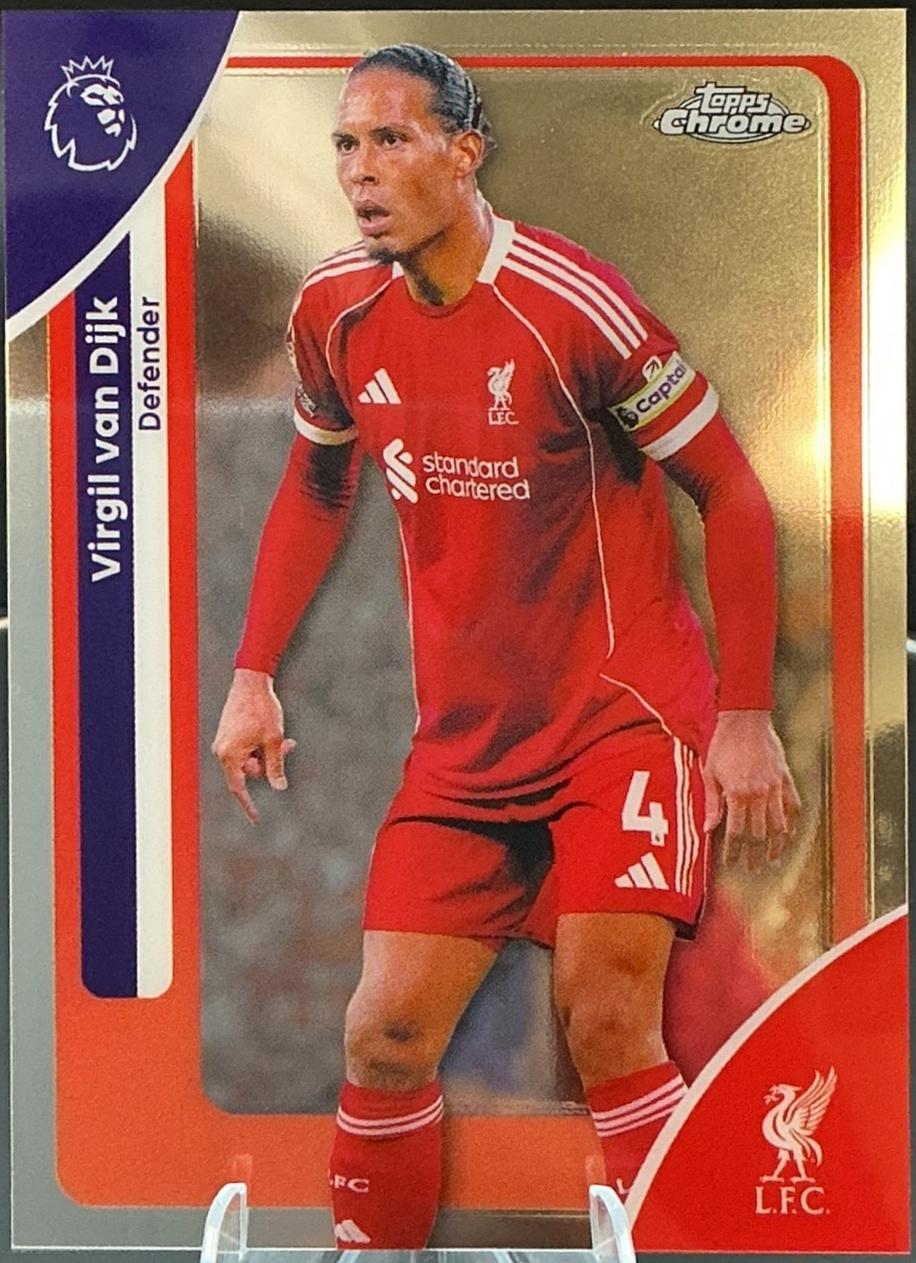 Virgil van Dijk #116