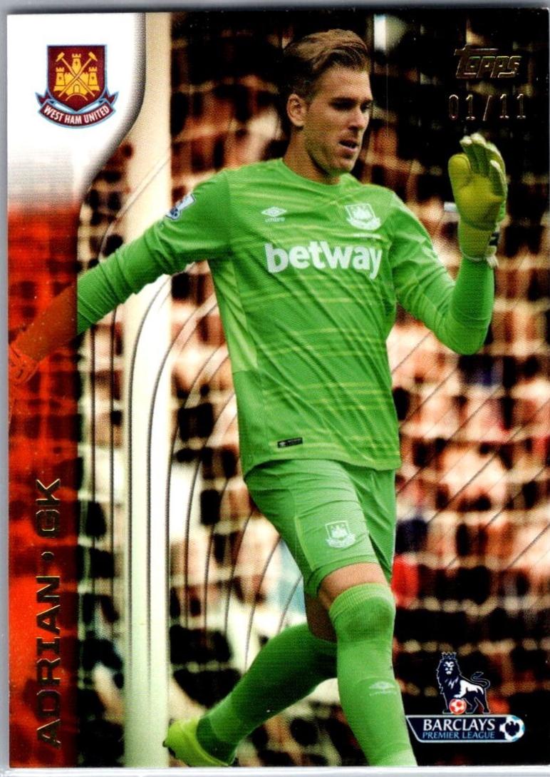 Adrian [Orange] #144