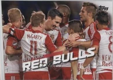 New York Red Bulls [Red] #191