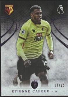 Etienne Capoue [Purple] #14