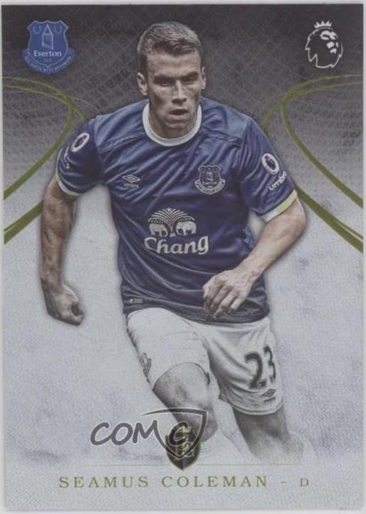 Seamus Coleman #29
