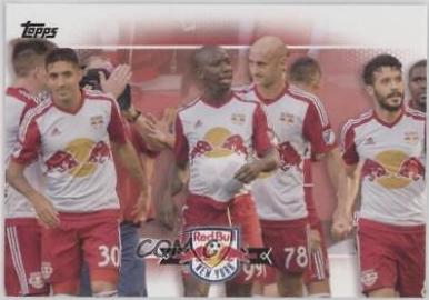 New York Red Bulls #181