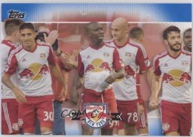 New York Red Bulls [Blue] #181