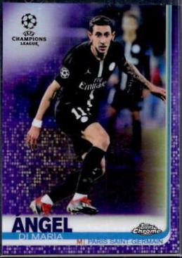 Siebe Schrijvers [Purple Refractor] #11