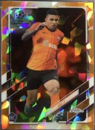 Dodo [Orange] #74