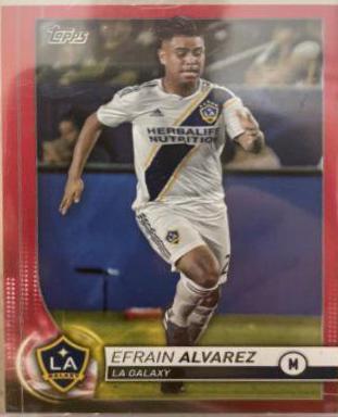Efrain Alvarez [Red] #24