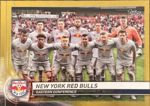 New York Red Bulls [Gold] #158
