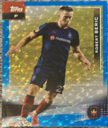 Robert Beric [Icy Blue Foil] #19