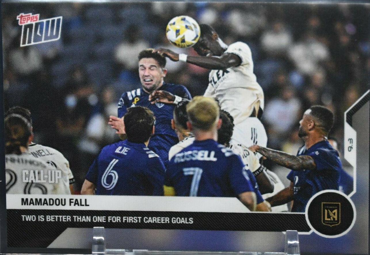 Mamadou Fall #129