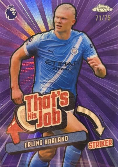 Erling Haaland [Purple] #THJ-13