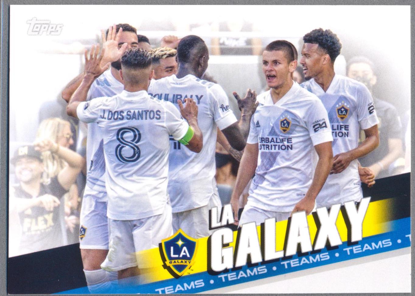 La Galaxy #73