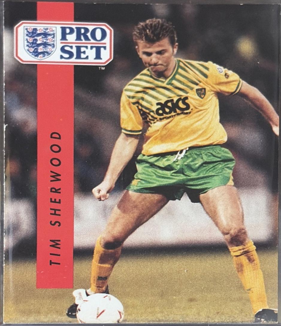 Tim Sherwood #161