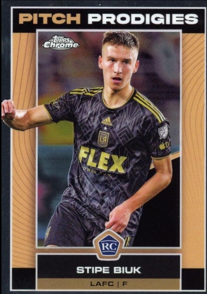Stipe Biuk #6