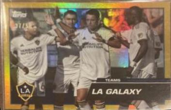 LA Galaxy [Gold] #178