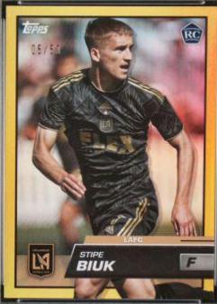 Stipe Biuk [Gold] #24