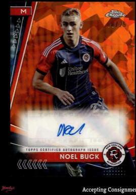 Noel Buck #SA-NB