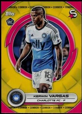 Kerwin Vargas [Image Variation] #51