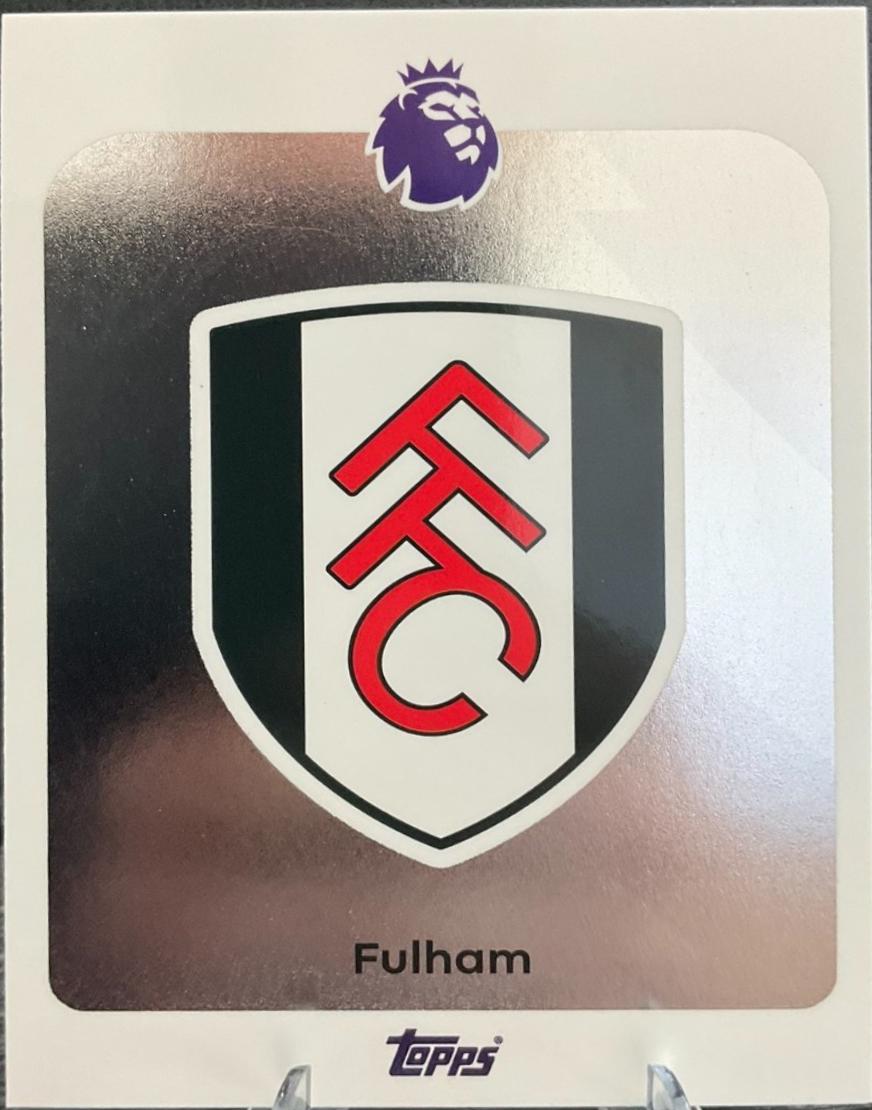 Team Badge #145