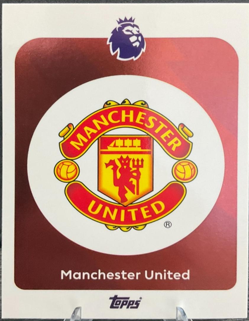Team Badge #199