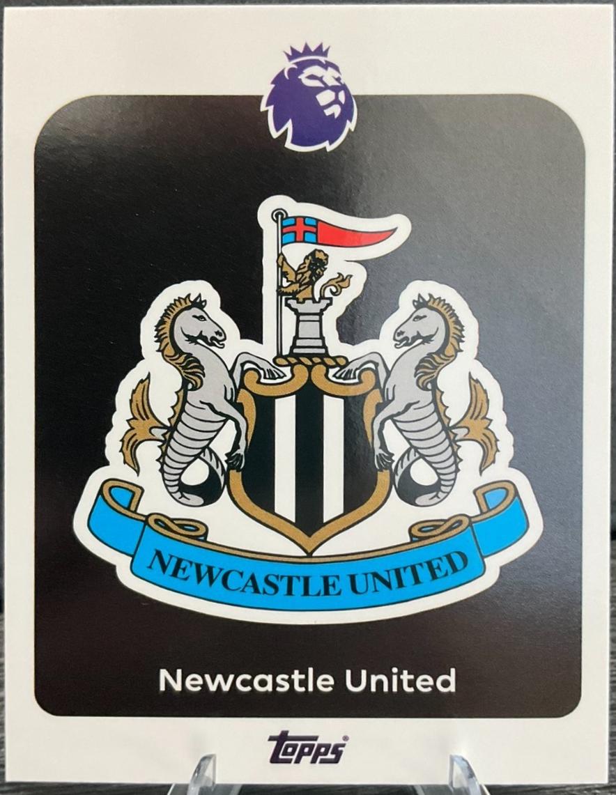 Team Badge #217