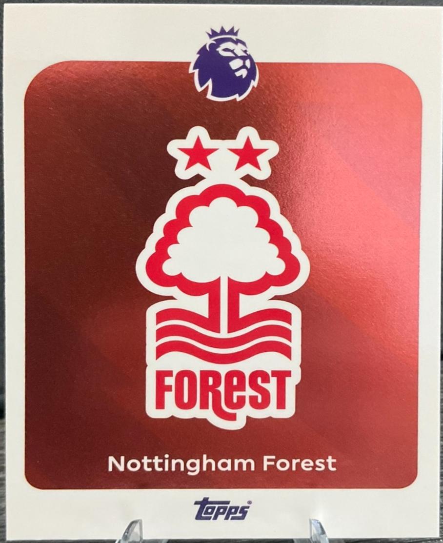 Team Badge #235