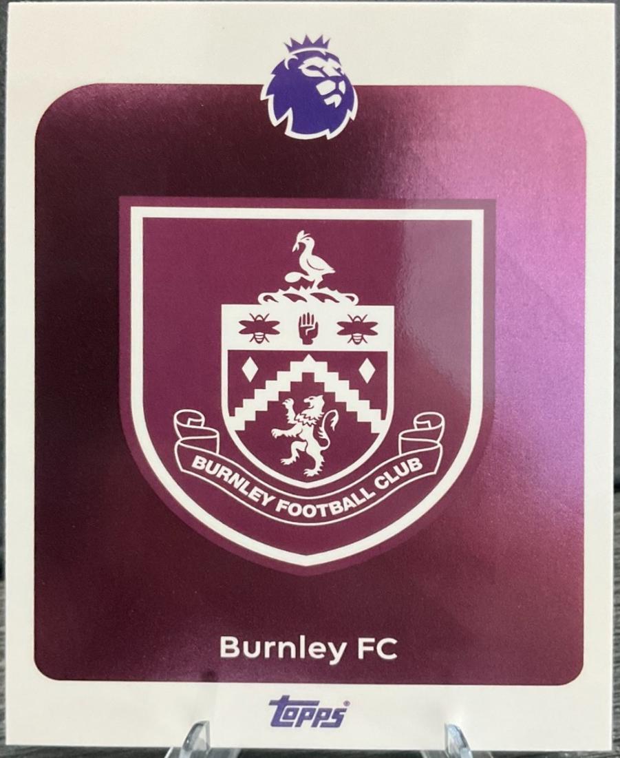 Team Badge #307