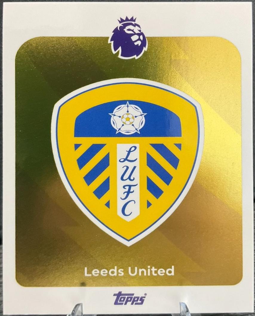 Team Badge #325