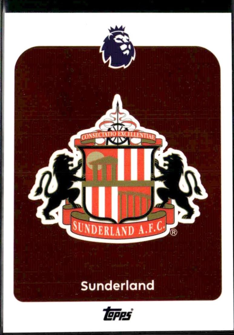 Team Badge #343