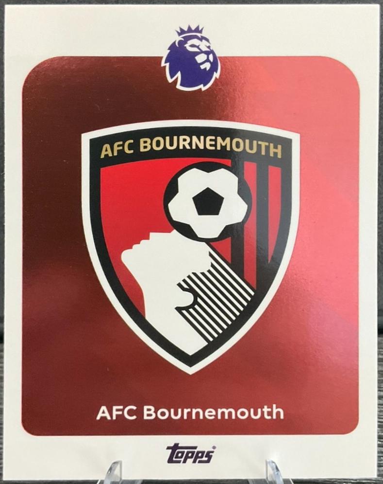 Team Badge #37