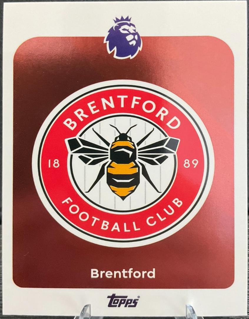 Team Badge #55