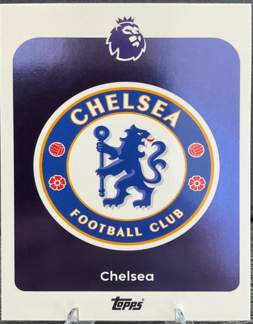 Team Badge #91
