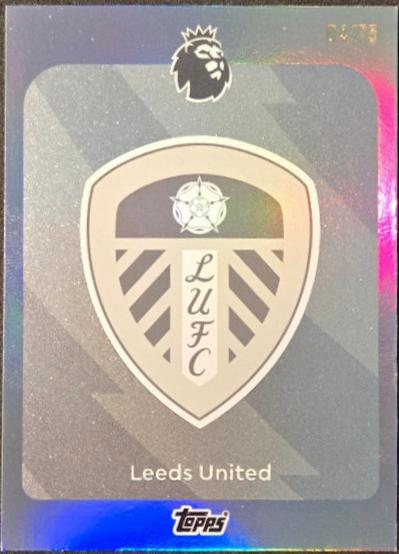 Team Badge [Black White Sparkle] #325