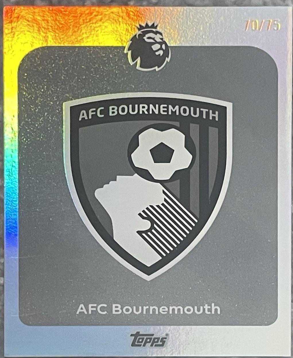 Team Badge [Black White Sparkle] #37