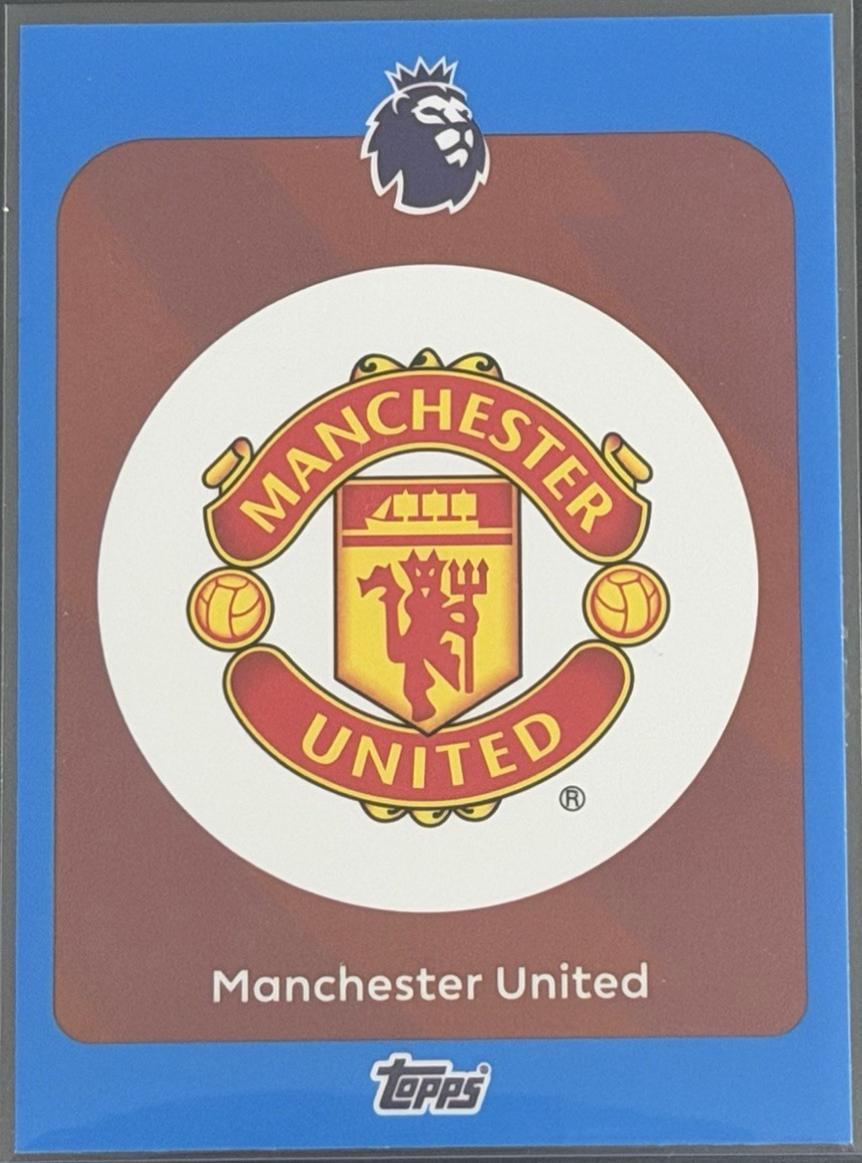 Team Badge [Blue] #199