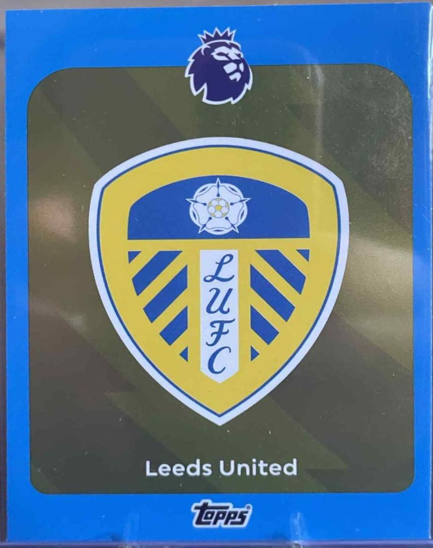 Team Badge [Blue] #325