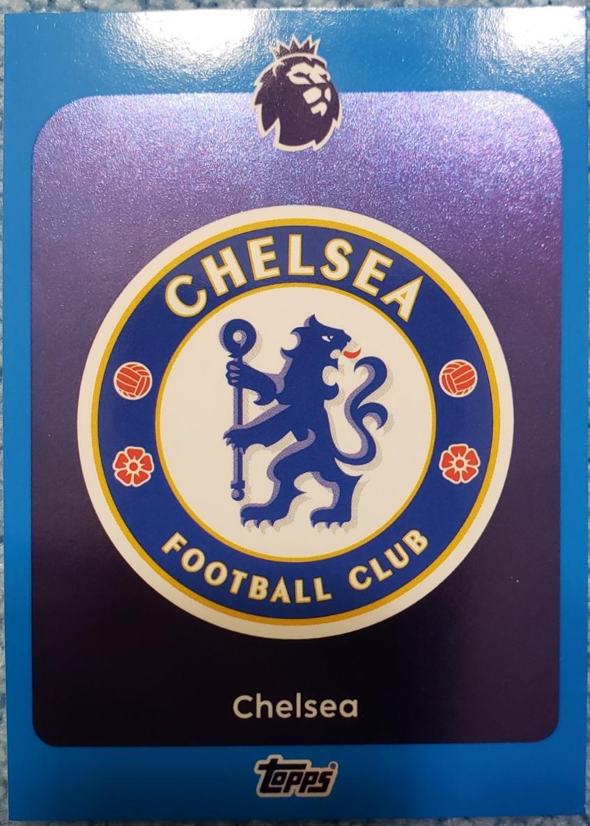 Team Badge [Blue] #91