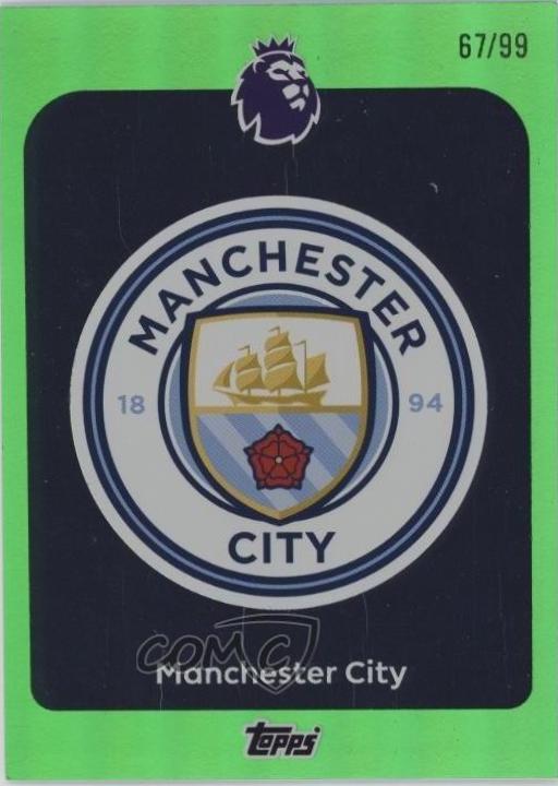 Team Badge [Green Rainbow] #181