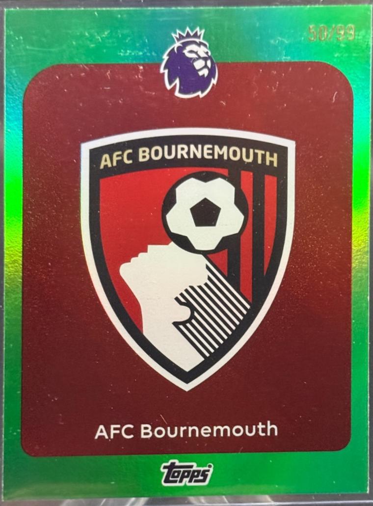 Team Badge [Green Rainbow] #37