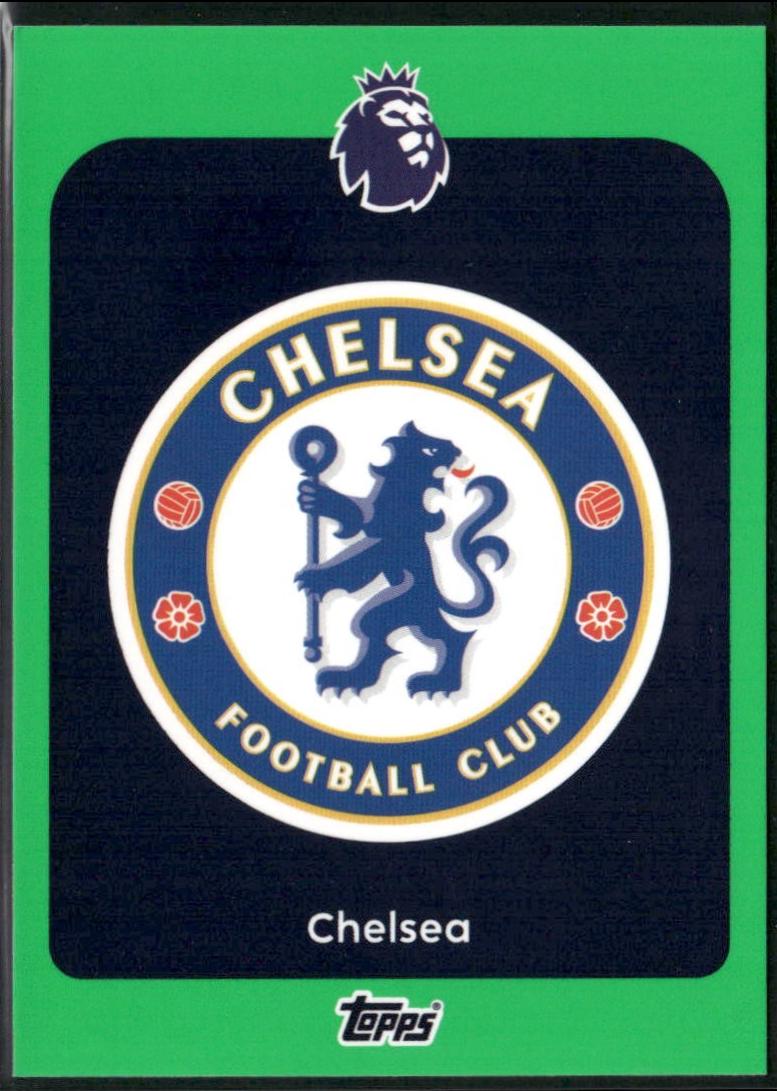Team Badge [Green] #91