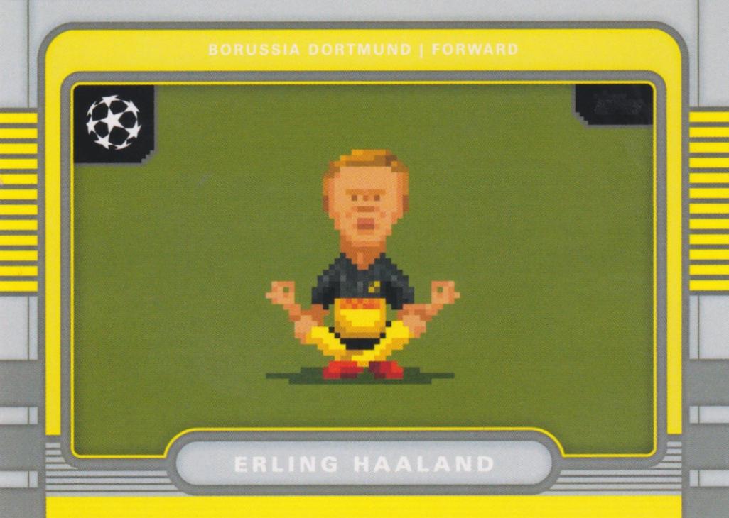Erling Haaland #8B-5