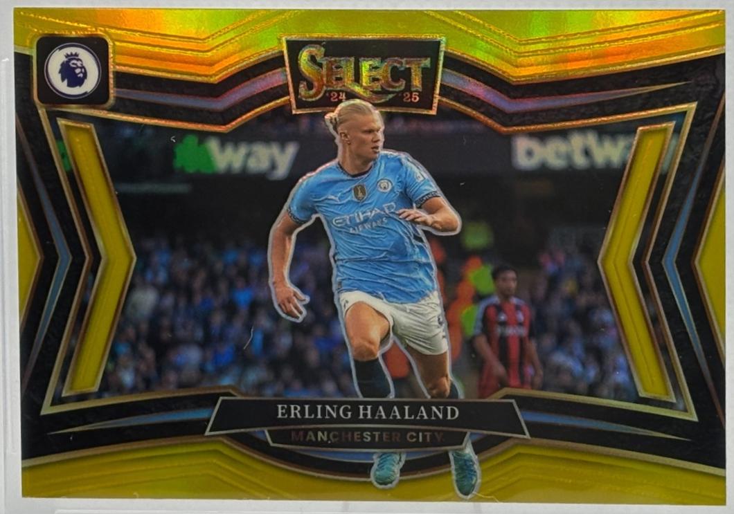 Erling Haaland [Gold] #227