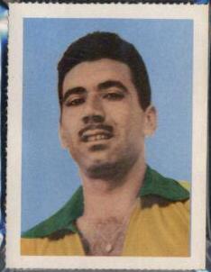 Nilton Santos [Blue Number Perforated] #6