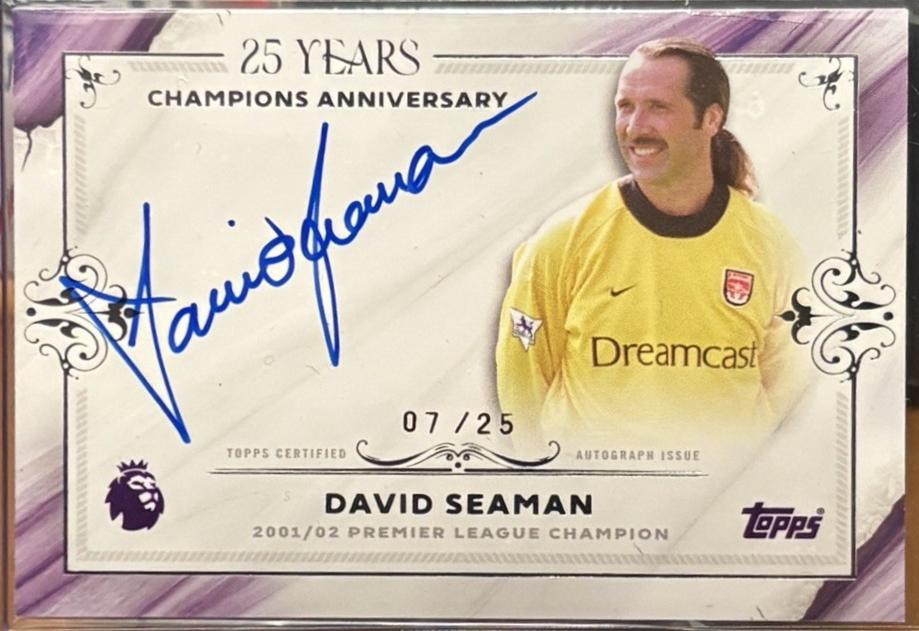 David Seaman #CA-DS