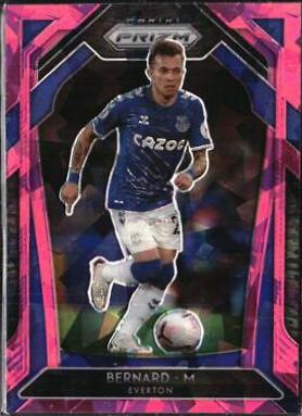 Bernard [Pink Ice Prizm] #117