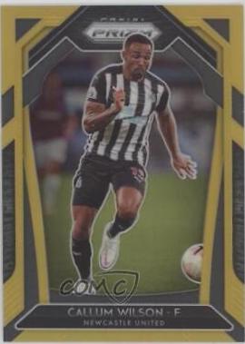 Callum Wilson [Gold Prizm] #238