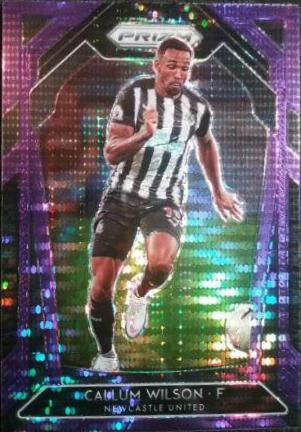 Callum Wilson [Purple Prizm] #238