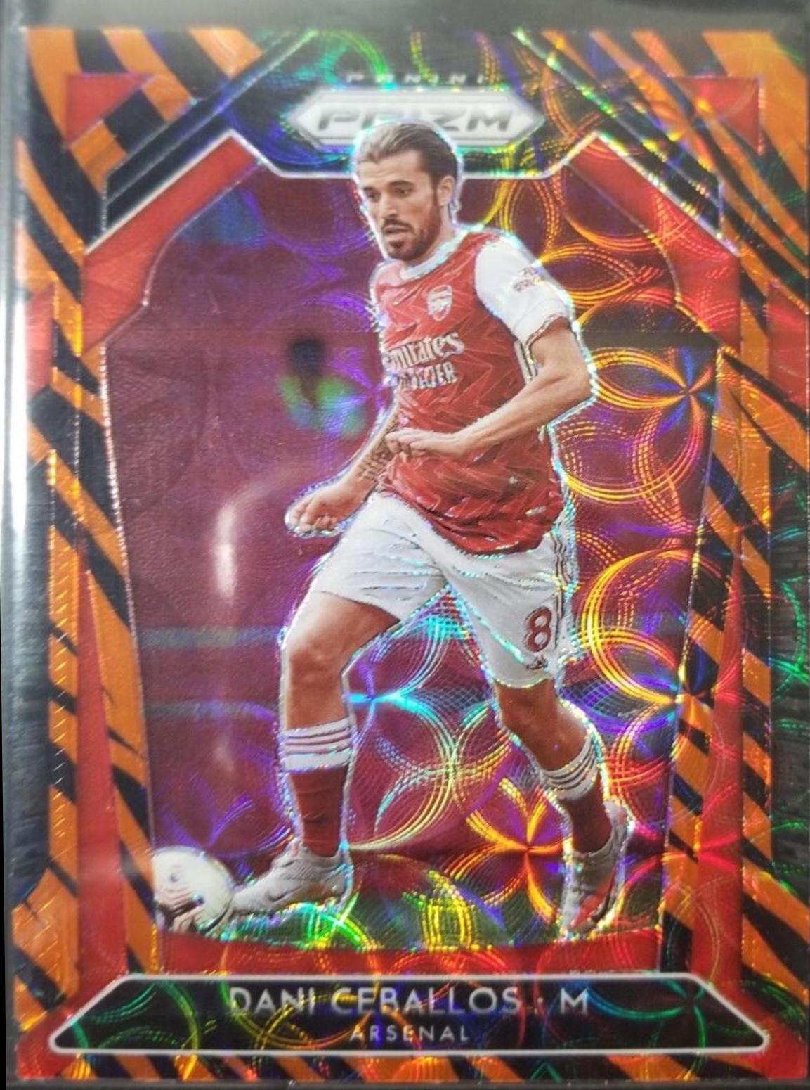 Dani Ceballos [Choice Tiger Stripe Prizm] #39