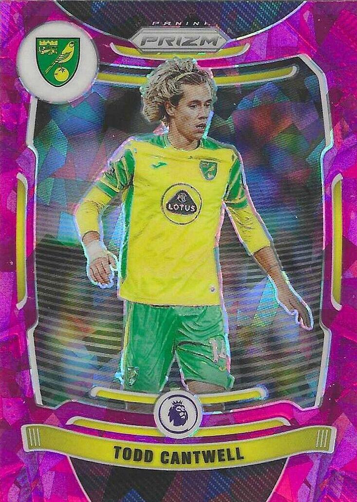 Todd Cantwell [Cracked Ice Prizm] #175
