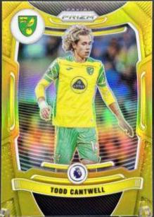 Todd Cantwell [Gold Mojo Prizm] #175