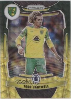 Todd Cantwell [MultiColor Prizm] #175